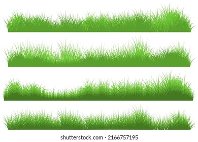 wild grass, summer grass set