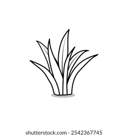 wild grass vector illustration on white background. Wild plant