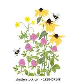 
 Wild grasses (black-eyed susan, red clover, buttercups.) and bumblebees. Hand drawn color vector illustration. Floral background.
