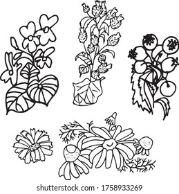 Wild grasses, hand drawn, isolated on white. Black and white. Vector EPS 10. Use for print on t-shirt, fabric, print on dishes, greeting cards, invitations, for wallpaper, textiles, books, postcard.
