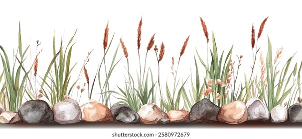 Wild grasses, reeds and natural stones vector watercolor illustration. Bottom border for rustic nature-inspired designs.