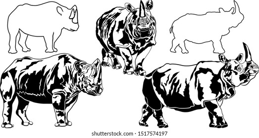 Wild Great one-horned and black rhinoceros isolated on white