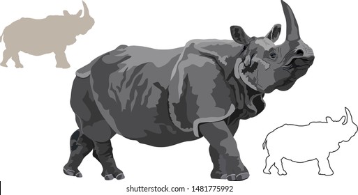 Wild Great one-horned rhinoceros (Indian rhinoceros) isolated on white