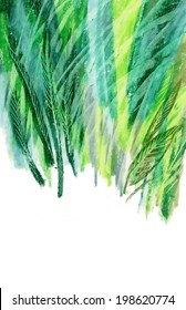 Wild green summer grass vector 