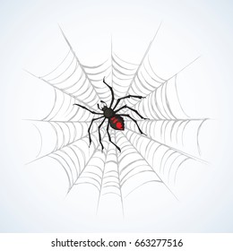 Wild grey Araneae on mesh isolated on white backdrop. Freehand linear black ink hand drawn picture sketchy in art scribble retro graphic style pen on paper. Close-up macro view with space for text