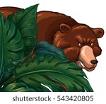Wild grizzly bear behind the bush illustration
