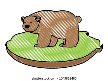 Wild grizzly bear icon