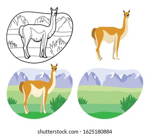 Wild guanaco on a background of rocky mountains and meadows with shrubs