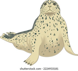 Ilustración del vector de sellos de puerto salvaje
