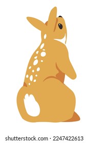Wild hare or bunny character, isolated woodland animal with soft fur and long ears. Cute personage sitting with its back. Spots on coat of rabbit. Wilderness of forest or woods. Vector in flat style