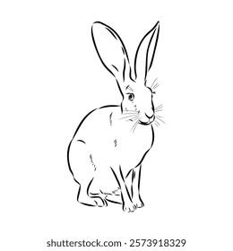 Wild Hare, Hand-Drawn Vector, Graphic Style, Abyssinian hare, vector sketch