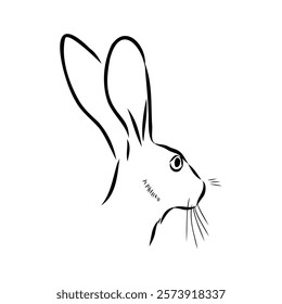 Wild Hare, Hand-Drawn Vector, Graphic Style, Abyssinian hare, vector sketch