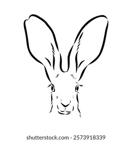 Wild Hare, Hand-Drawn Vector, Graphic Style, Abyssinian hare, vector sketch