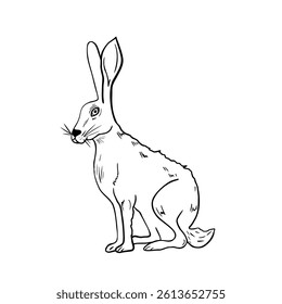 Wild hare sit hand drawn black white vector illustration. Forest animal graphic artwork for winter and Christmas design. Woodland animal for seasonal packaging, stationery. Rabbit outline drawing.