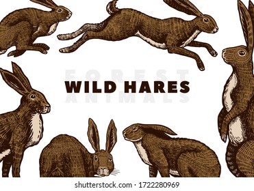 Wild hares background. Rabbits are sitting and jumping. Forest bunny. Hand drawn engraved old sketch for T-shirt, cards or banner or poster. Vector illustration.