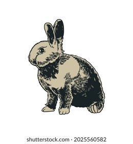 Wild hares hand drawn vintage engraved old sketch. Rabbits are sitting isolated on white background. Vector forest bunny or coney illustration for t-shirt, tattoo or label or poster