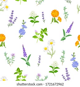 Wild healing herbs seamless pattern. Botanical floral background. Vector illustration of meadow flowers, medical plants in cartoon flat style.