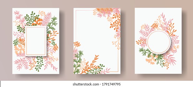 Wild herb twigs, tree branches, flowers floral invitation cards collection. Bouquet wreath retro invitation cards with dandelion flowers, fern, lichen, olive branches, savory twigs.