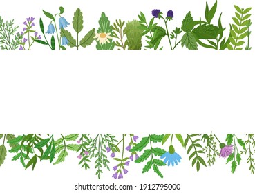 Wild herbs banner. Cartoon leaves,brunches,flowers,twig isolated on white background. Vector hand drawn illustration.