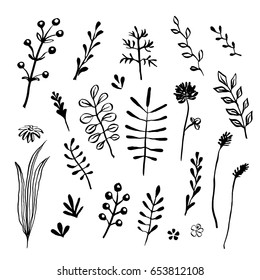 Wild herbs collection/ Hand drawn field and forest plants in doodle style/ Vectorized ink illustration in black and white