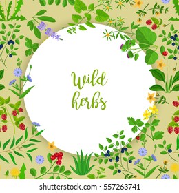 Wild herbs, flowers and berries circle frame. Vector illustration.