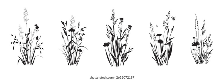 Conjunto de buquê de ervas e flores selvagens. Composições de campos, prados e paisagens estepes. Cereais e ervas daninhas florais de folhosas do Jardim. Desenhos de silhueta realista vetorial isolados sobre fundo branco.