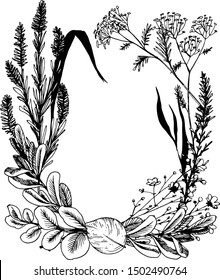 Wild herbs and flowers painted black line. Field herbs are in engraving style. Round frame with herbs and leaves