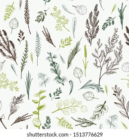 Wild herbs and flowers are in seamless pattern in green colors on light background. Field herbs are in engraving style
