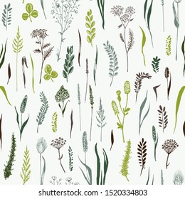 Wild herbs and flowers are in seamless pattern in green colors on light background. Field herbs are in engraving style