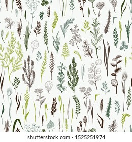 Wild herbs and flowers are in seamless pattern in green colors on light background. Field herbs are in engraving style