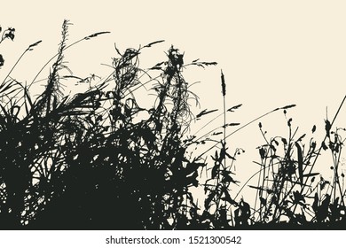 Wild herbs and flowers silhouette background. vector illustration 