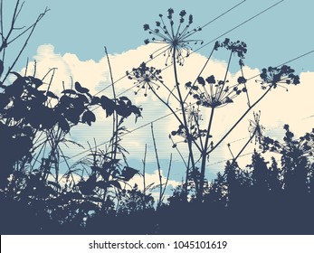 wild herbs and flowers silhouette On A Background Of Clouds And Sky. Detailed Vector Illustration.