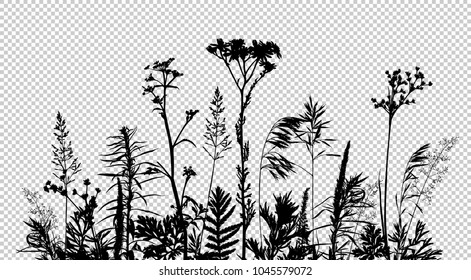 Wild herbs and flowers silhouettes isolated on transparent background. Meadow grass composition. Summer concept. Vector illustration.