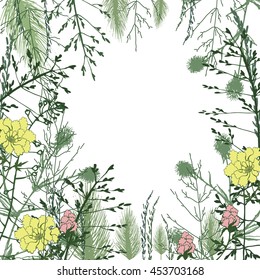 Wild Herbs and flowers vector background. Green grass silhouette. Floral border.