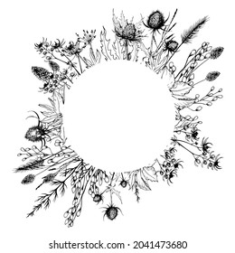 Wild herbs and flowers wreath. Hand drawn vector illustration isolated on white background.