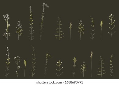 Wild herbs and grass hand drawn clip art elements on black background, isolated meadow herbal shapes with dark gradient. Elegant field growth elements vector collection.