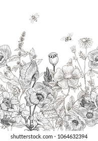 Wild and herbs plants seamless border. Vintage botanical hand drawn illustration. Spring flowers.