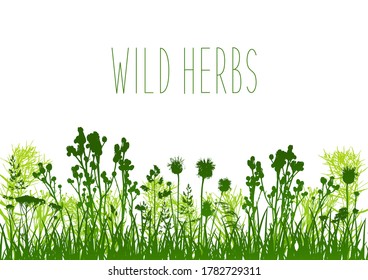 Las siluetas de hierbas silvestres bordean aisladas en el fondo blanco - vector para el diseño de verano natural