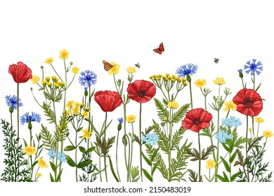 Wild herbs. Wildflowers in summer. Red poppies, cornflowers, forget-me-nots, yellow buttercups, ferns, butterflies, bees