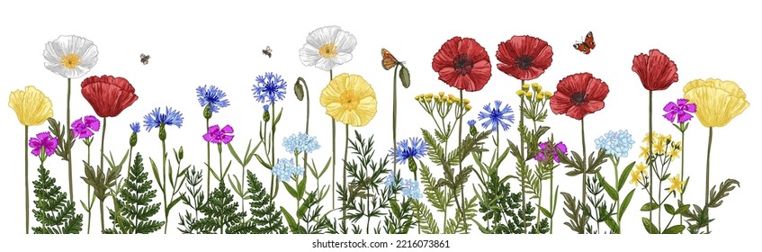 Wild herbs. Wildflowers in summer. Red poppies, cornflowers, forget-me-nots, yellow buttercups, ferns, butterflies, bees