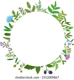 Wild herbs wreath. Cartoon leaves,brunches,flowers,twig isolated on white background. Vector hand drawn illustration.