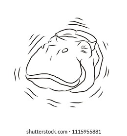 Wild Hippo in water. Vector Sketch hand draw