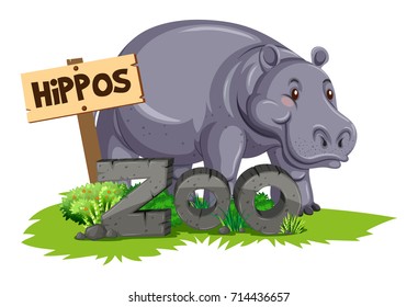 Wild hippo at the zoo illustration