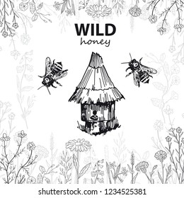Wild honey. Bee house hive. Vector sketches