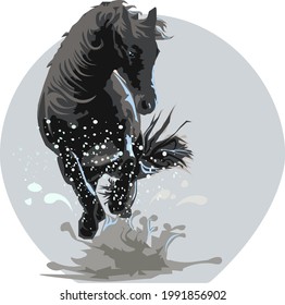 caballo salvaje en movimiento galop