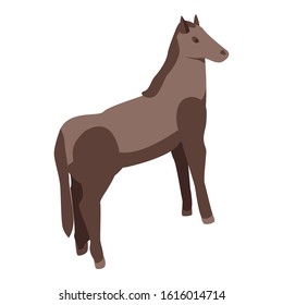 Wild horse icon. Isometric of wild horse vector icon for web design isolated on white background