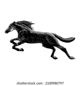wild horse jump hand drawing vector illustration isolated on white background