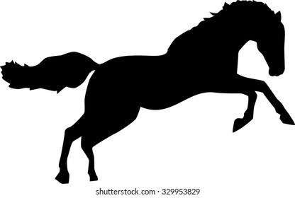 Wild horse jumping bronco