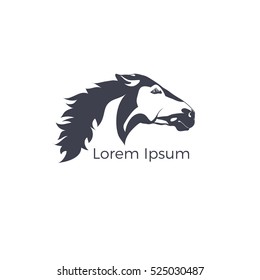 wild horse logo. vector horse head