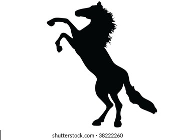 wild horse mustang vector silhouette